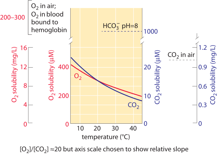 Oxygen Solubility In Water Chart