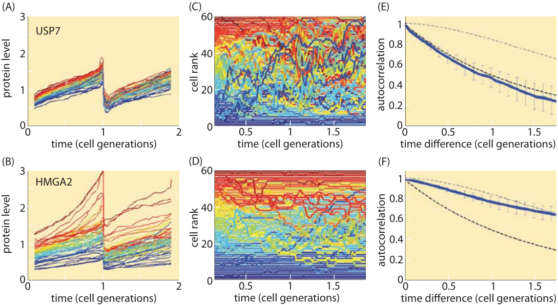 A, The color scale of protein variability and conservancy obtained from