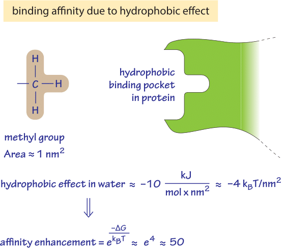 Hydrophobic Effects – How to Create them and Why