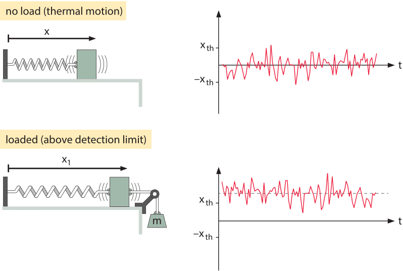 Figure 2: Deflection of a mass-spring system.  In the top panel, there is no applied force and the mass moves spontaneously due to thermal fluctuations.  In the lower panel, a force is applied to the mass-spring system.  The graphs show the position of the mass as a function of time revealing both the stochastic and deterministic origins of the motion.