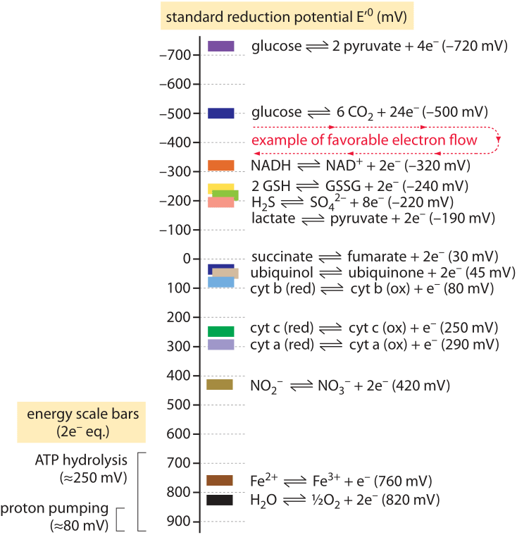 Cell Potential Chart