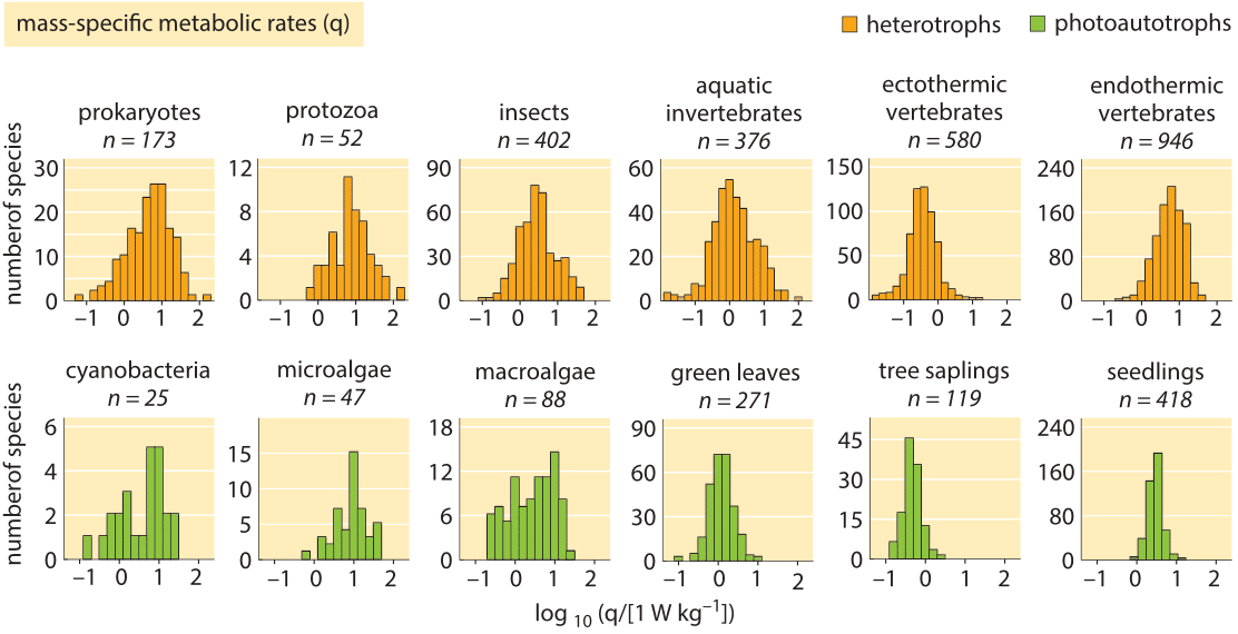 Resting Metabolic Rate Chart