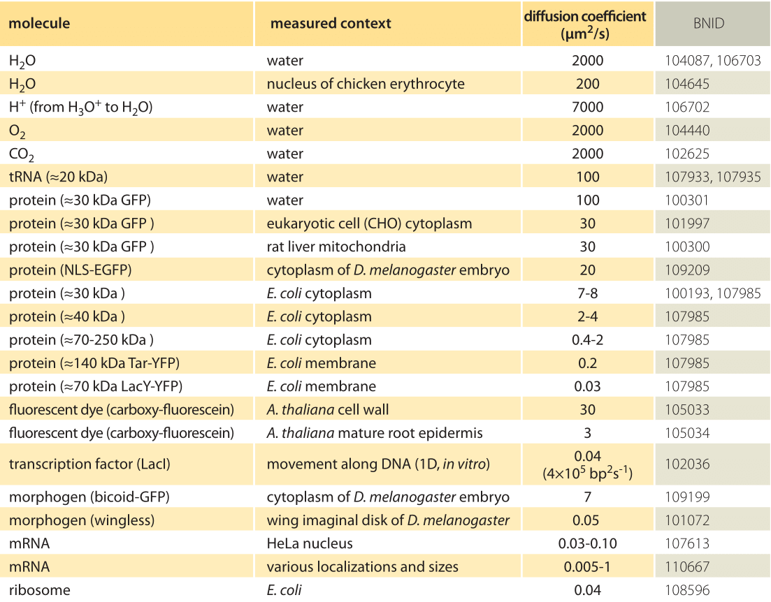 Cell Size And Scale Chart