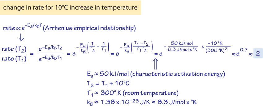 How Does Temperature Affect Rates And Affinities