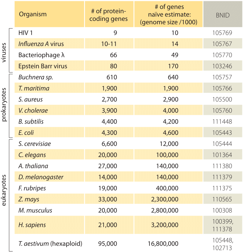 Human genome - Wikipedia