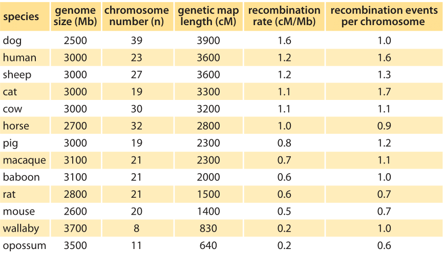 recombination frequency