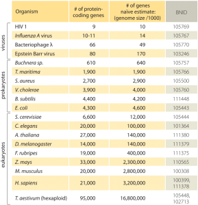 » How many genes are in a genome?